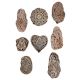 Set of 8 Piece New Mix Wooden Printing Block