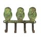 Wise Owl Wall Hooks Set of 3 in Patina Bronze