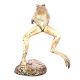 Spitting Leaping Frog Cast Bronze Garden Statue Fountain