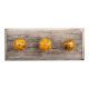 Mustard and Black Melon Glass Wooden Hooks