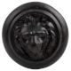 Black Lion Metal Knobs