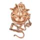 Indian Ritual Brass Hanging Oil Lamp