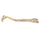 Engraved Brass Pheonix Candle Snuffer