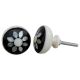Sunflower Shell Knobs