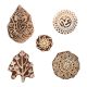 Set of 5 Piece New Mix Wooden Printing Block