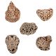 Set of 5 Piece New Mix Wooden Printing Block