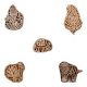 Set of 5 Piece New Mix Wooden Printing Block