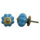 Sky Blue Medium Knob