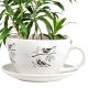 Bird On Branch Ceramic Cup Saucer Planter Pot