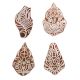 Set of 4 Piece New Mix Wooden Printing Block