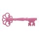 Pink Iron Door Handles