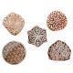 Set of 5 Piece New Mix Wooden Printing Blocks