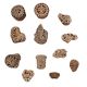 Set of 12 Piece New Mix Wooden Printing Blocks