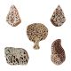 Set of 5 Piece New Mix Wooden Printing Blocks