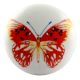 Multicolor Butterfly Ceramic Flat Wardrobe Knob Online