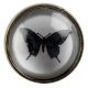 Butterfly Inside Glass And Metal Wine Stopper
