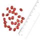 Red Glass Faceted Bicone Loose Beads Jewelry Crafts (12 in Pack)