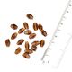 Brown Transparent Kite Diamond Shaped Glass Jewelry Making Beads (12 in Pack)