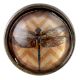 Elegant Dragonfly Inside Round Iron Glass Drawer Knobs