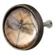 Elegant Dragonfly Inside Round Iron Glass Drawer Knobs