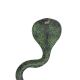 Snake Handle 12