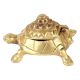 Brass Turtle Yantra Box Statue