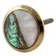 Stephen Brass Shell Cabinet Knob