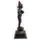 Black Brass Standing Parvati Statue