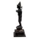 Black Brass Standing Parvati Statue
