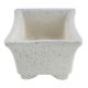Rectangular White Planter Pot With Small White Dots