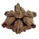 Indian Brass Ganesha Kokum Box