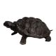 Hand crafted Brass Tortoise Home Decoration Statue