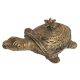 Tribal Brass Turtle With Flower On Back