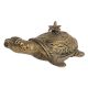 Tribal Brass Turtle With Flower On Back