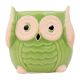 Cute Green Owl Ceramic Pot Planter