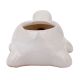 Handmade White Ceramic Tortoise Shape Planter