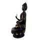 Handmade Black Brass Buddha Medicine Statue And Blessing  Pose