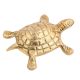 Brass Small Turtle - A Gift Of Wisdom And Knowledge