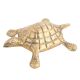Brass Small Turtle - A Gift Of Wisdom And Knowledge