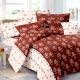 Pure Cotton Rust And White Small Floral Printed Bed sheet with 2 Pillow Covers