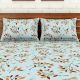 Brown Leaves Spaces 104 TC Cotton Double Bed Sheet with 2 Pillow Covers