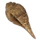 Brass Engraved Conch Shell Decor Ornament In Golden Finish