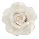 White Golden Rose Ceramic Cabinet Knobs