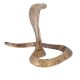 Brass Cobra Hood  Statue For Lord Shiva