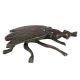 BrassÂ Insect Ashtray Or Trinket Box