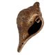 Brass God Images Carved Conch Shell