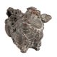 Feng Shui Brass Foo Dog Statue