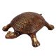 Brass Tortoise Figurine For Good Luck