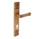 Elegant Brushed Brass Mortise Office Or Front Door Handle