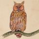 Horned owl Miniature Watercolor Painting